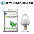 China Proveedores Alibaba Best Sellers Betaine Hcl